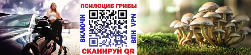 Купить где  Валуйки  Псилоцибиновые грибы ЛСД 